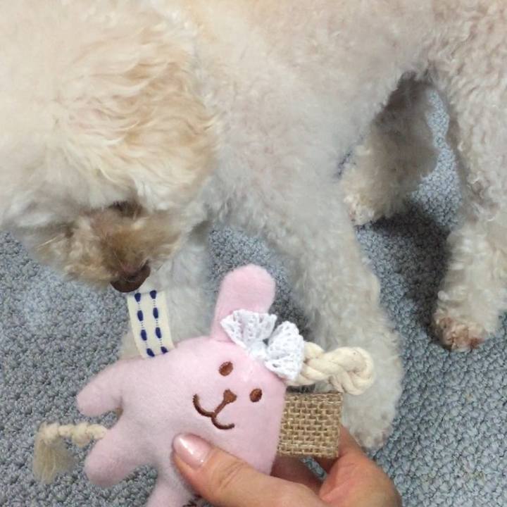 12b62f1b 19c3 4022 8d90 22f9f933e6a7