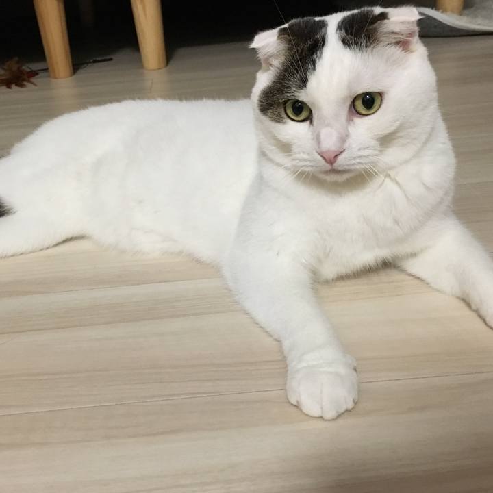 12b6b046 360e 43b9 8674 70a1110f0513