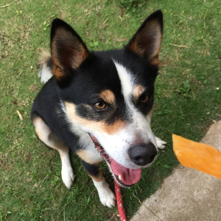 12b71777 445f 481f ab06 0310104c28ab