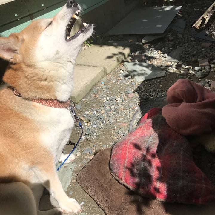 12b726bd b093 492c 8d6b f048391c74b1