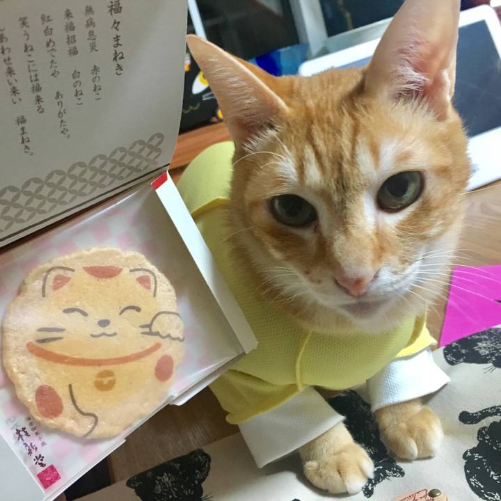 12b72cf3 5935 43bf 8630 4a60f564aa49