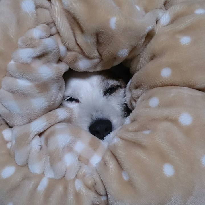 12b7494e 05f5 486a bcde be3ab18439d4