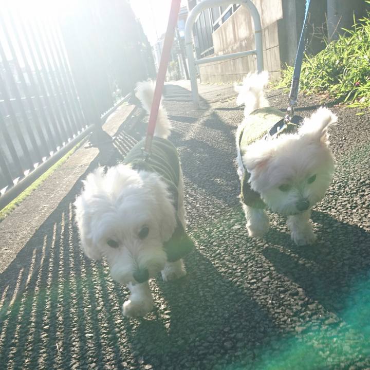 12b858c3 c1f5 4560 89ef 10f36cc9128b