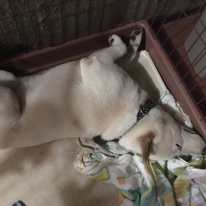 12b94f15 604c 4350 a923 d4be2fe6a7f3