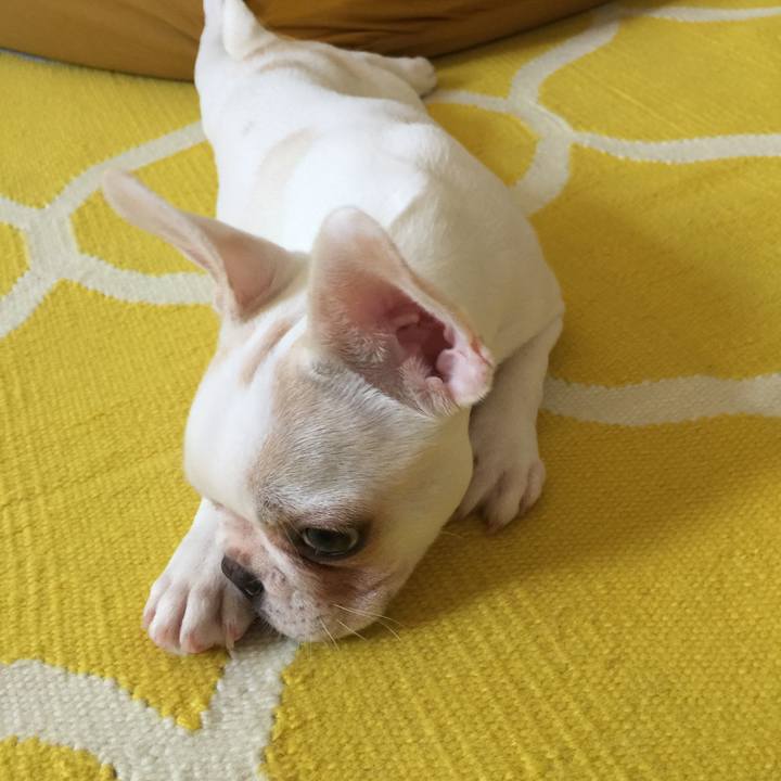 12b9b73e 854d 497a 8dcb b6a69f33617a