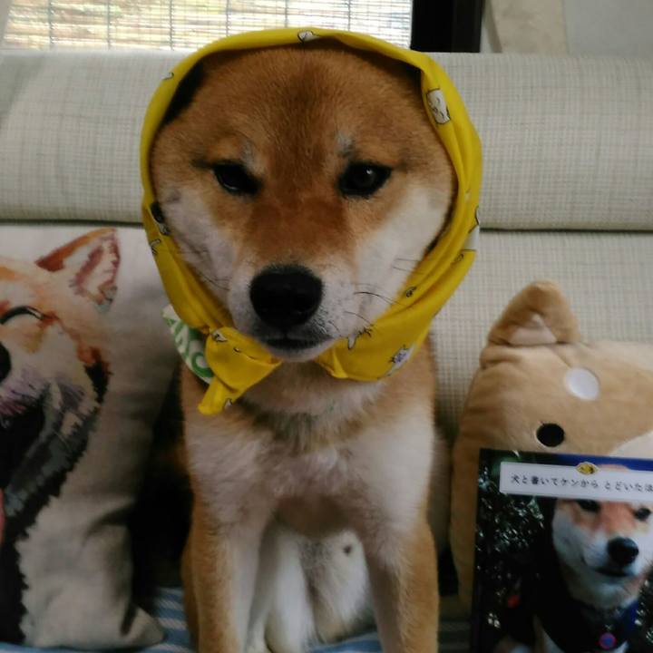 12b9e78a 621d 4990 b331 cf3dc380257b