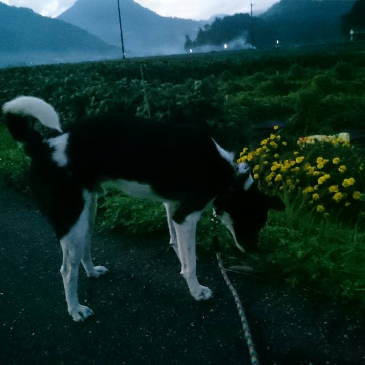 12b9e980 62c2 4c90 a8dc 73dc46917588