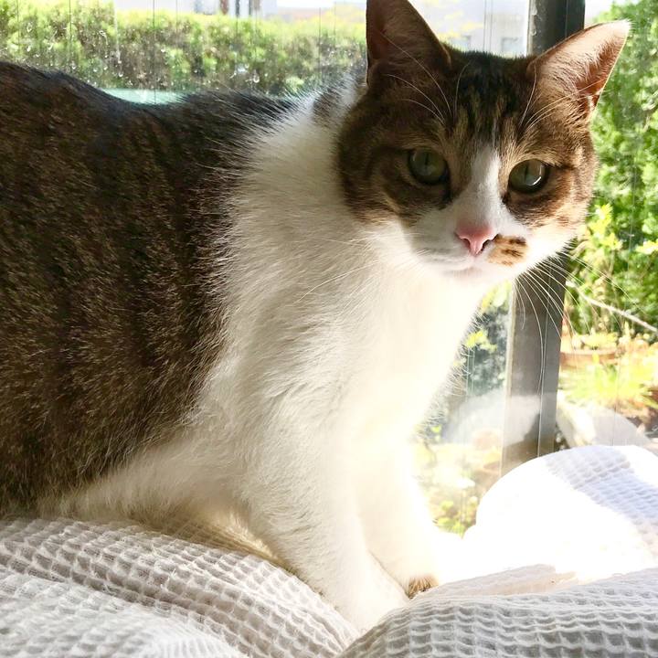 12bab68b 03a8 4903 ade3 f1685da622f9