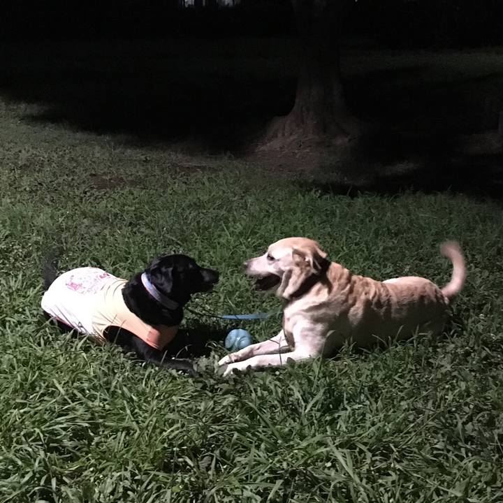 12baf17e 84c9 45d2 b8d1 c1f54c3284be