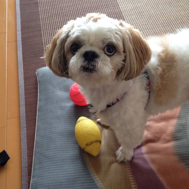 12bb3b8c 0fb7 47b1 a877 07b56ba5c6ec