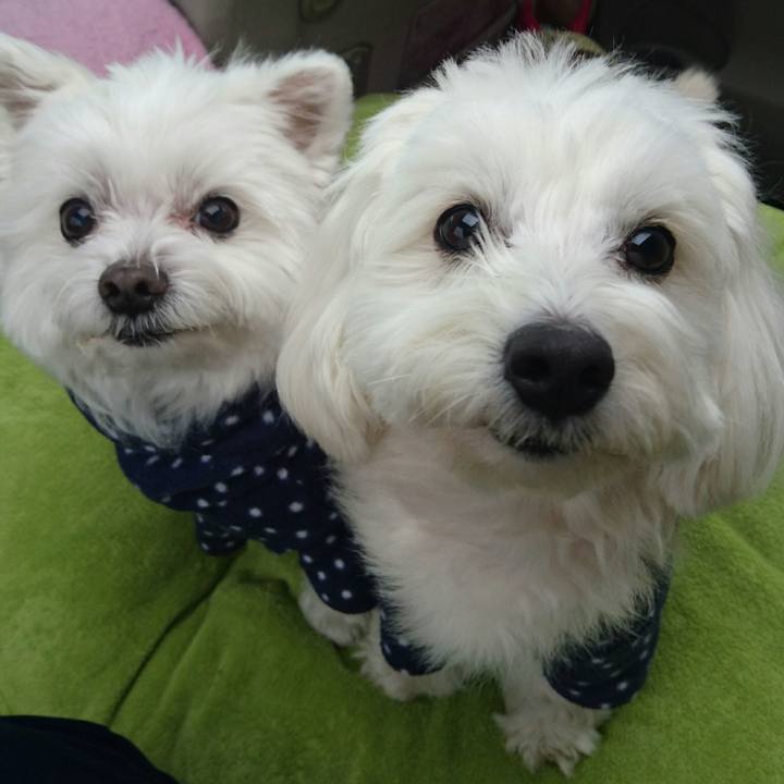 12bb7034 428a 44cb a673 c2f31524e658