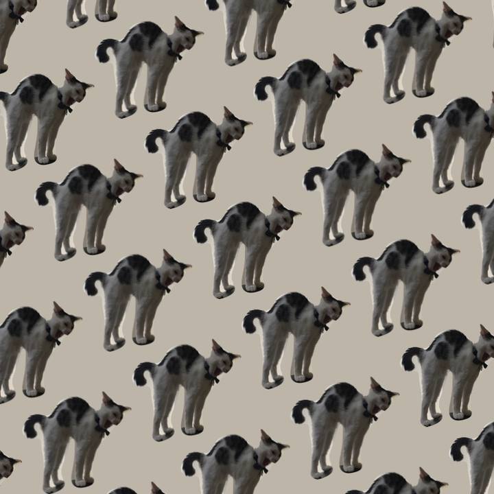 12bb8578 168f 4b21 90c5 242d43d5e2a7