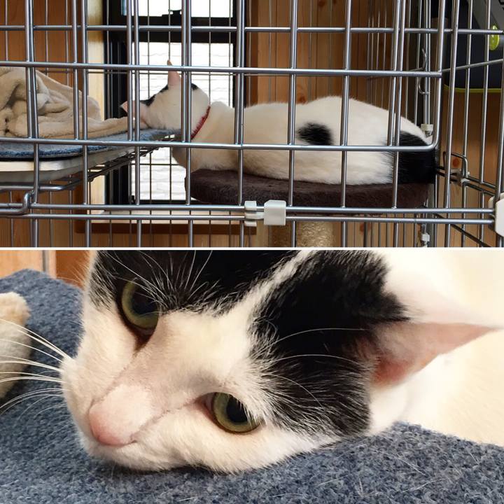 12bc2268 f793 428a 9b86 deaf7fdfb206