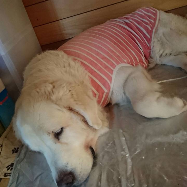 12bc2f46 a80f 45e9 88e3 f635ff13a776