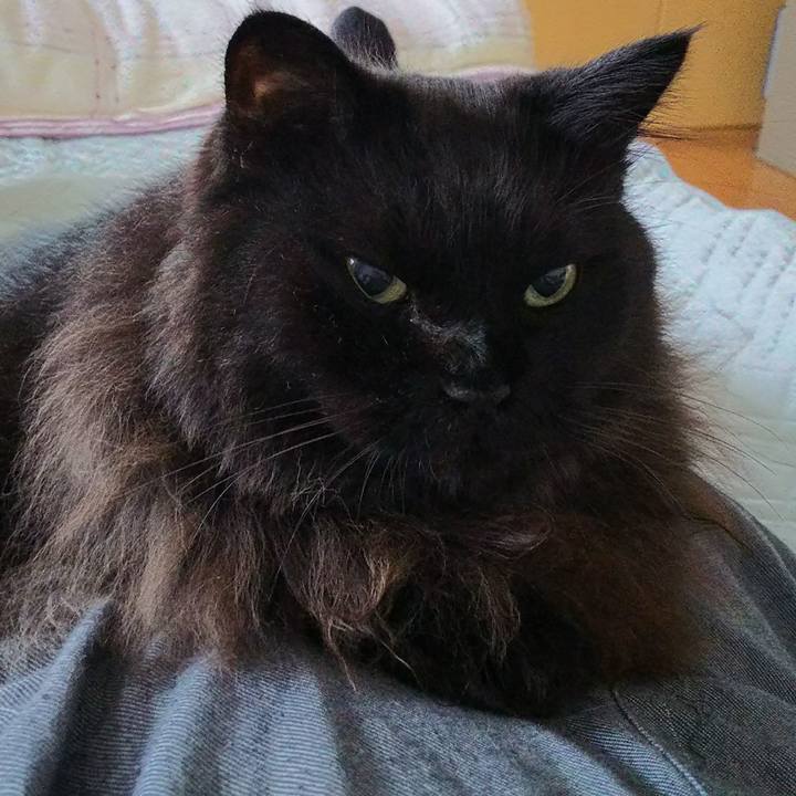 12bc5848 013b 490b a0ba 137fa948ea98