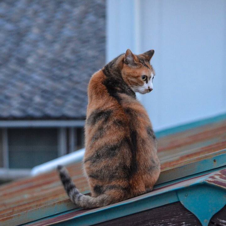 12bc6204 8fd8 47fd a68d c46297ff8da8