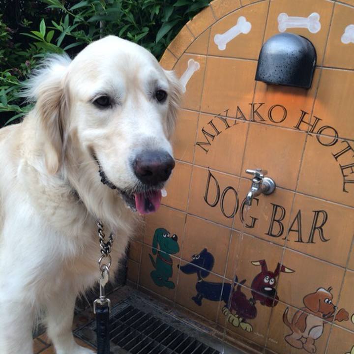 12bcd75d 0dde 42e8 a33d 844e7b57ff1c