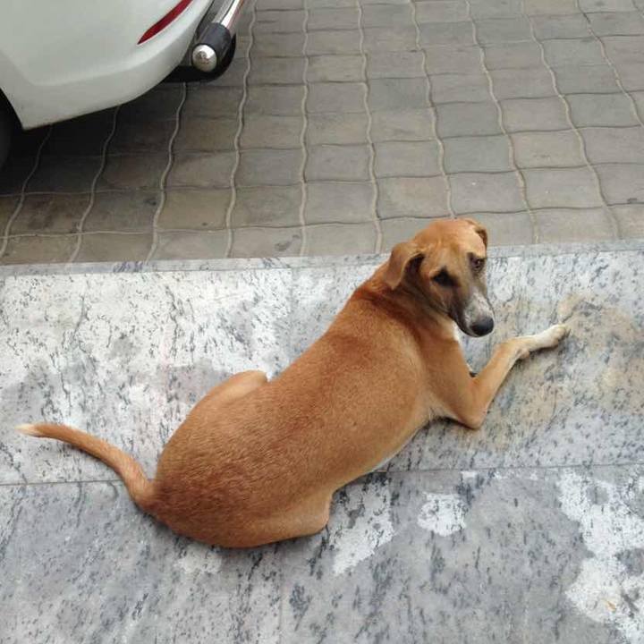 12bcfe43 3d36 4074 926a 9641ab8b4880