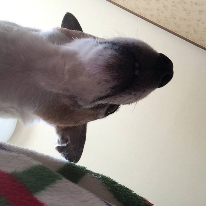 12bd1264 da2e 452f bf86 de562fbde194