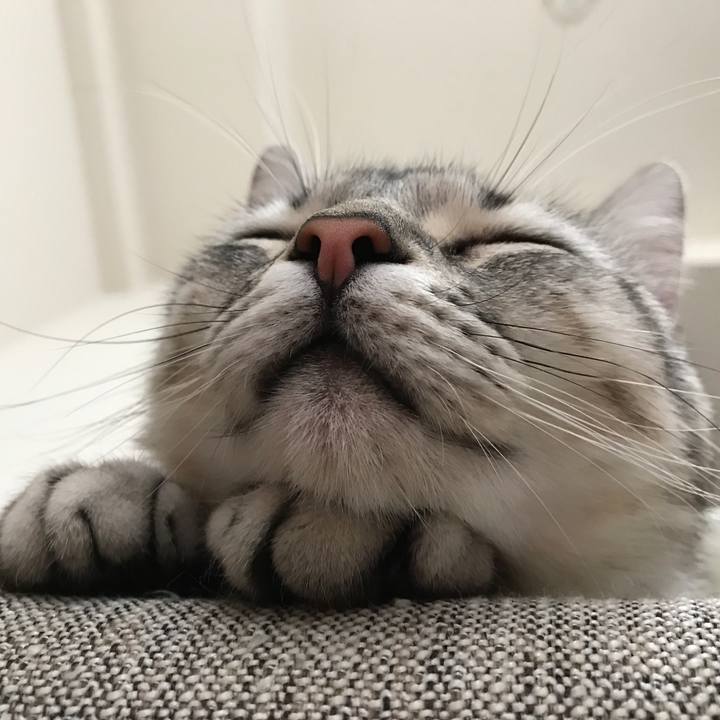 12bd3f3b 3ad6 4c2e 8a73 48663b877d59