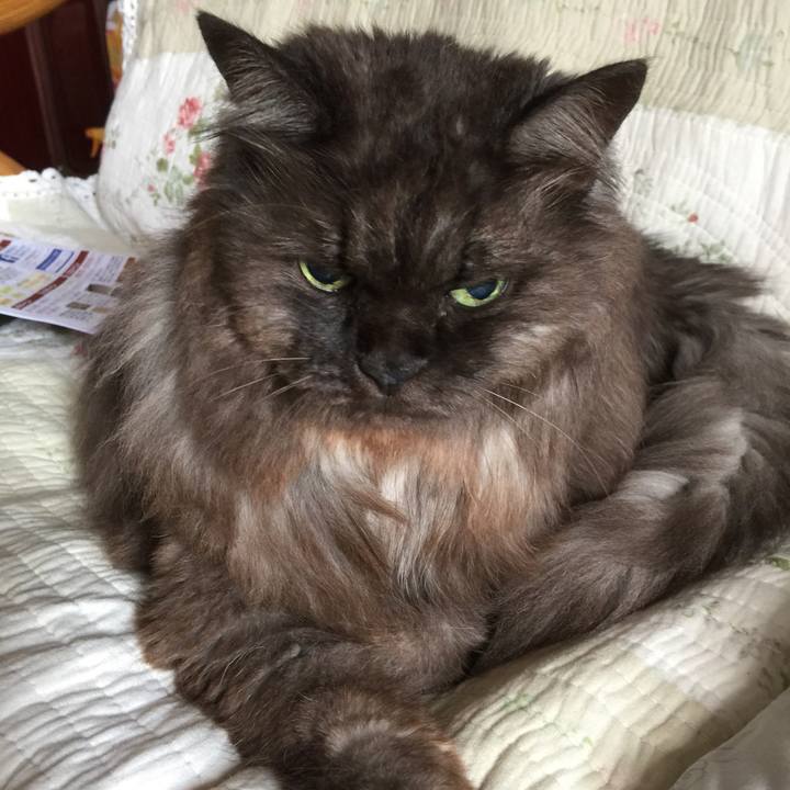 12bd4ee7 0317 4ab4 9d52 e3101667d74c