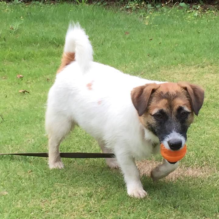 12bdb3ed 496c 46e8 8f30 e62d6d5f10f6