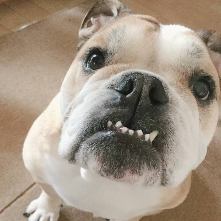 12be5b3c 2c6e 4d99 9695 e136fbb858ee