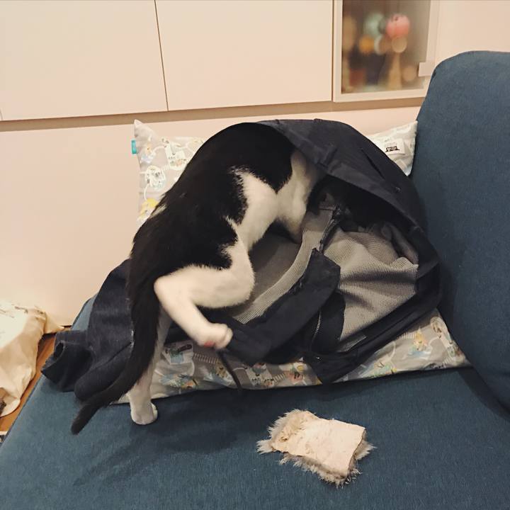 12be9e8a 24a8 4c0a 8bf9 4ed0fadf8aa6