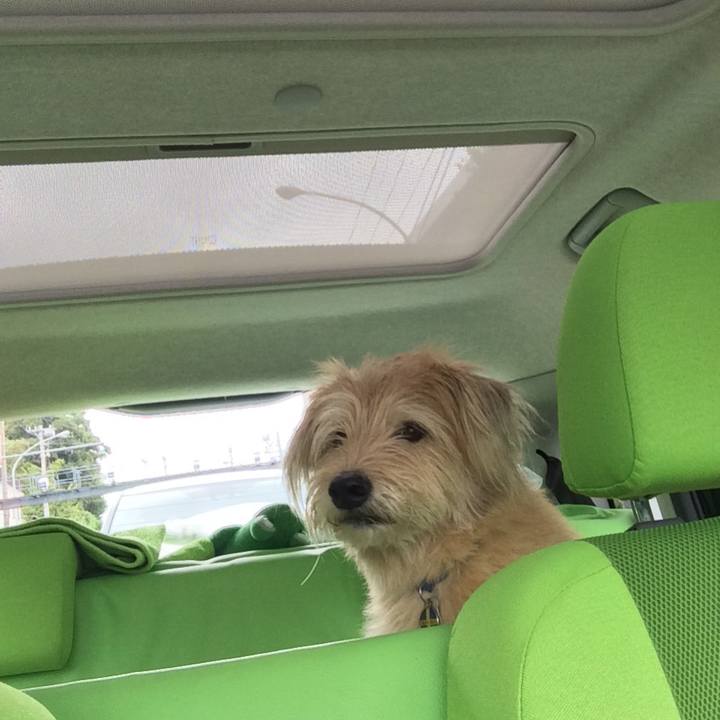 12bed958 3d64 458b a1ff 884fe442345e