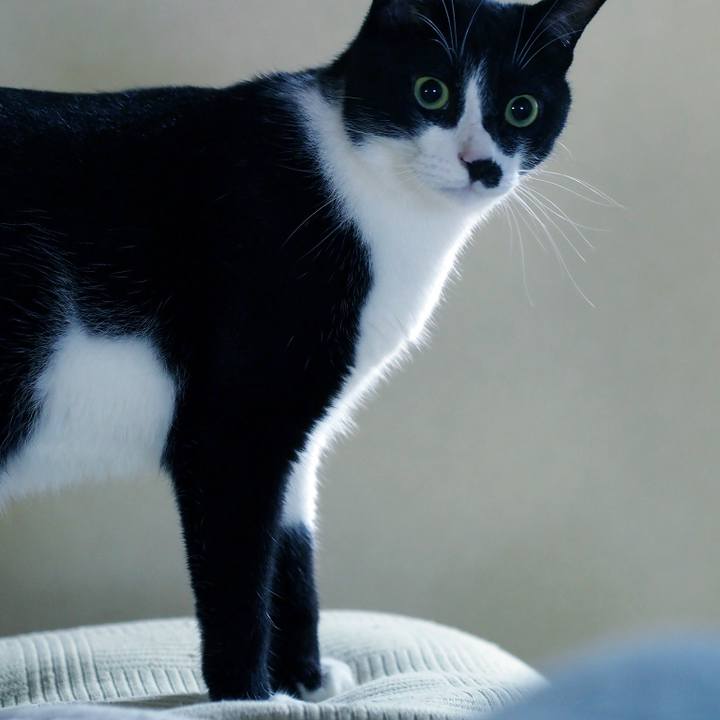 12bf0c6d 6434 4638 b4f1 d41305722e46