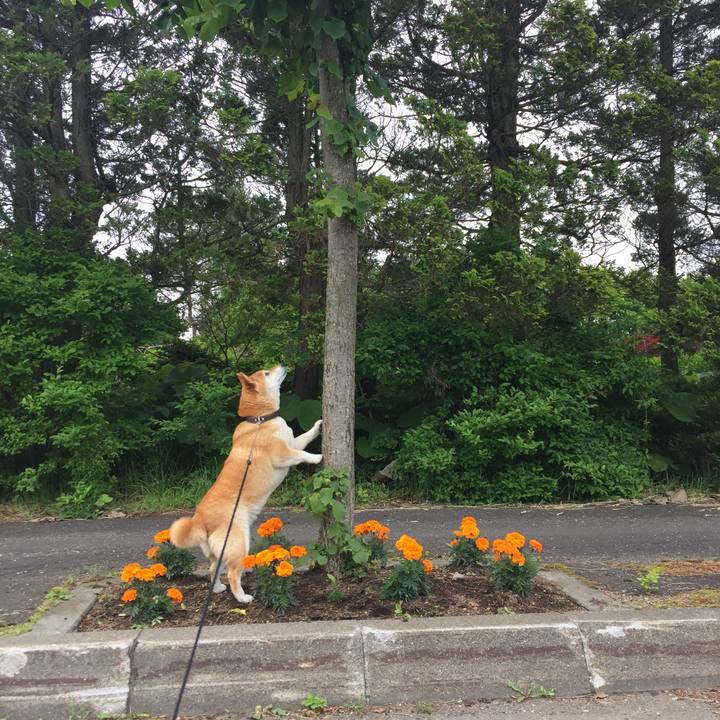 12bf3781 0186 4896 b5a7 a409d0995833