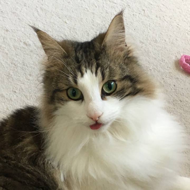 12c0c11b fde4 4536 bfc1 71ef3e466400