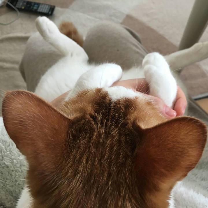 12c1f8ea 5a43 4178 b63e cb0645ae5f7b