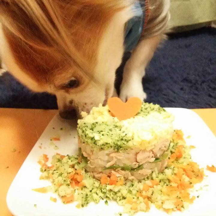 12c202e5 ad85 4cac 828d 9627109b7e69