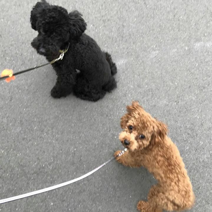 12c21dd7 58e8 4f6c 9b61 6819fd9cba81