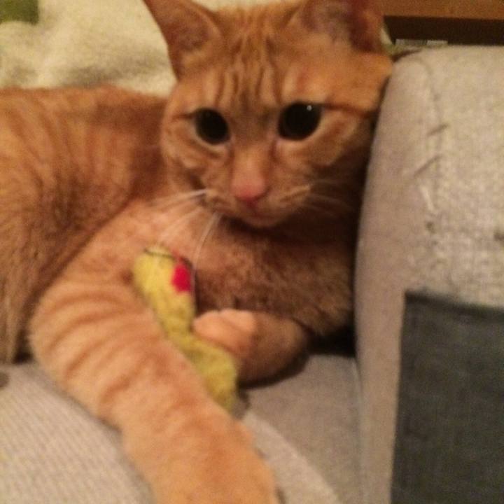 12c224d3 9495 4b18 804f 393e1deaf13e