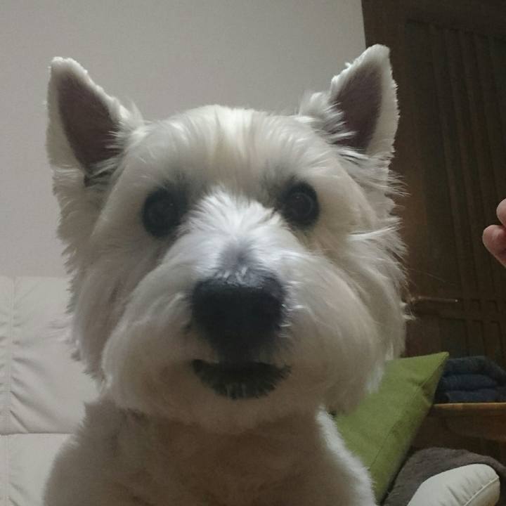 12c22fb3 6a94 4183 bf60 931cb7709dbb