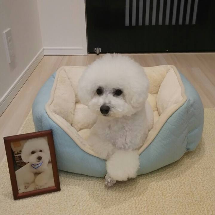 12c268a8 28c1 4717 a81d 0a6edafba4b7