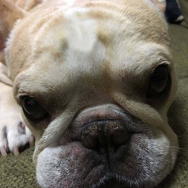 12c2a132 9b91 473e 9447 5ecdc9fe7441