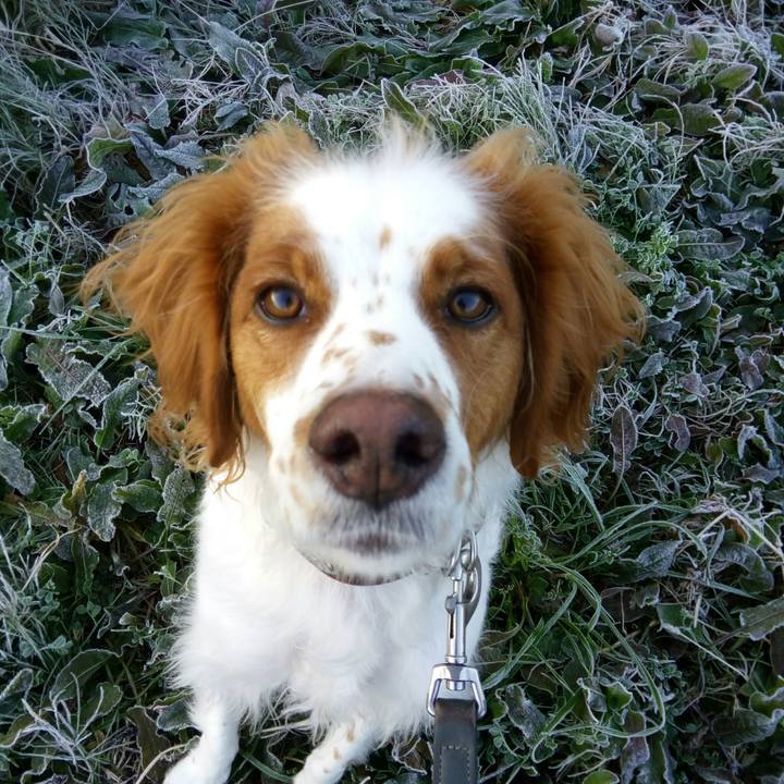 12c32145 0e2d 42cf 994e 7c210a831427