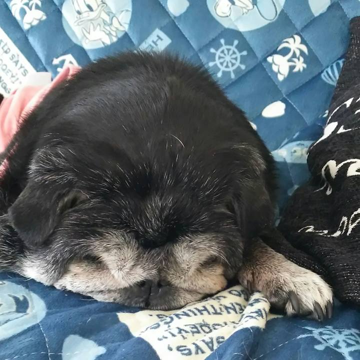 12c365e0 3ba7 4fd4 9030 21064c4e234c