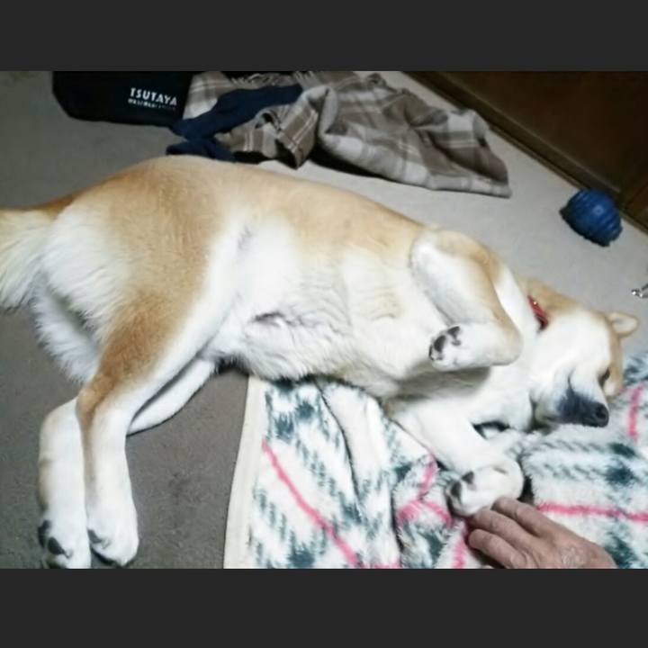 12c4b80b 8409 47a0 93e5 f36b18905c3e