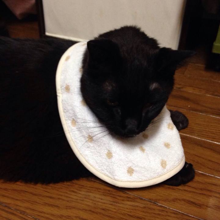 12c5144c b9f4 4bbc b150 c29a54c8dce8