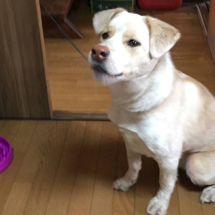 12c57222 8565 478d a5be 0d0ea21d1d98