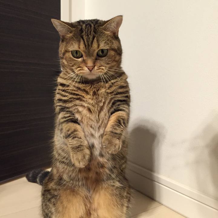 12c5d3c1 d532 4ba4 a609 e7a7064efa40