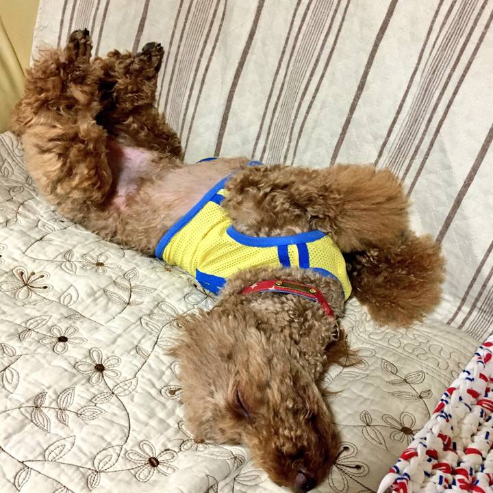 12c65c51 b3bf 4f29 a86d 911a57b32d4a