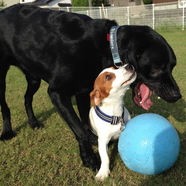 12c6806a e66e 45be 87ca 11630504fa08