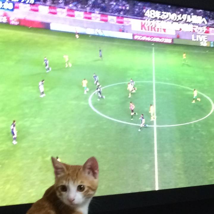 12c6881f b3a6 4a3b ae55 e9ec89b3fe94