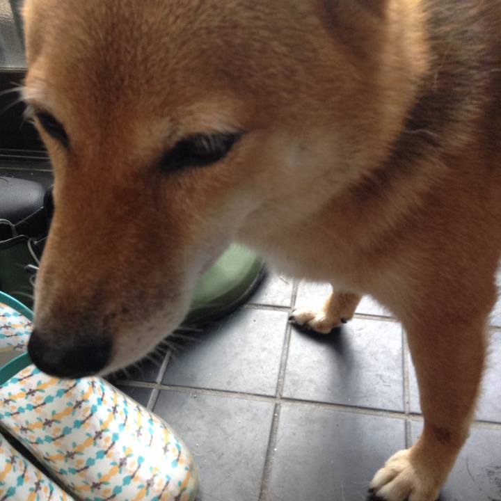 12c74504 3e70 43b5 80c1 6a9b0075cd8e