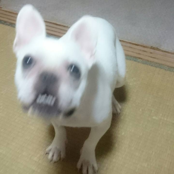 12c7c618 b921 48a4 a6f2 cdac23e0ec17